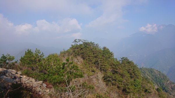 東卯山 谷關七雄724361