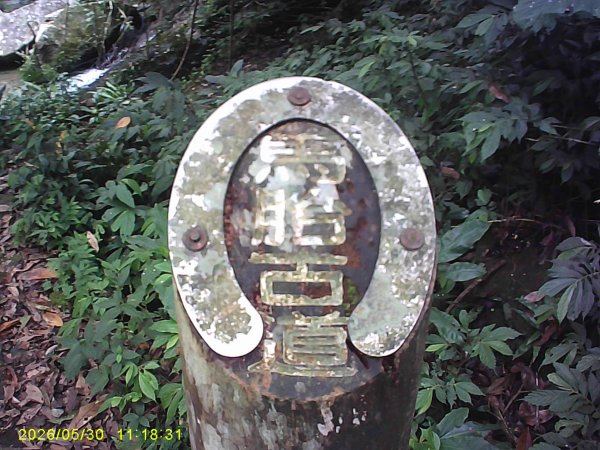 內灣南坪古道、馬胎古道及內灣O繞，順道拜訪位移總督府交通局遞信部基石。3067417