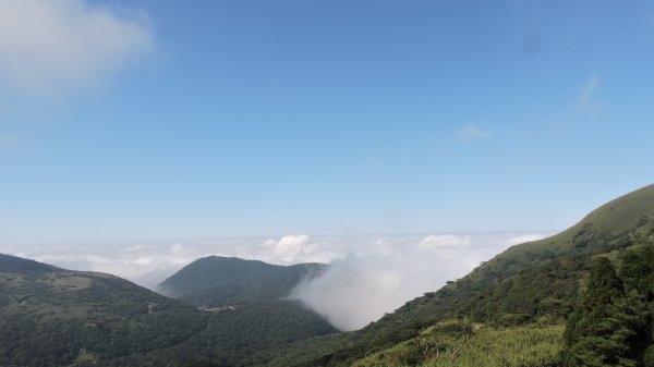 再見陽明山雲海1178697