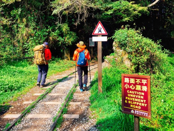 一路風景變化的美麗特富野古道557400