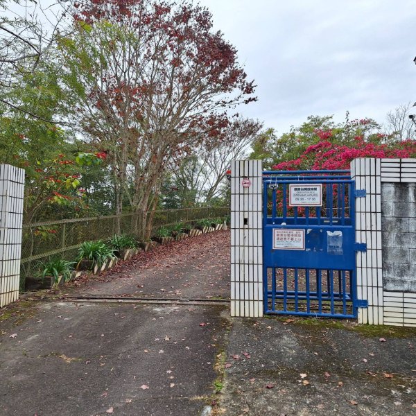 【小百岳49】貓囒山完成!+彩蛋清淨雲海2696065