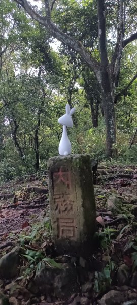 2024/09/28-大竹坑山+十寮山+東畚箕窩山2605891