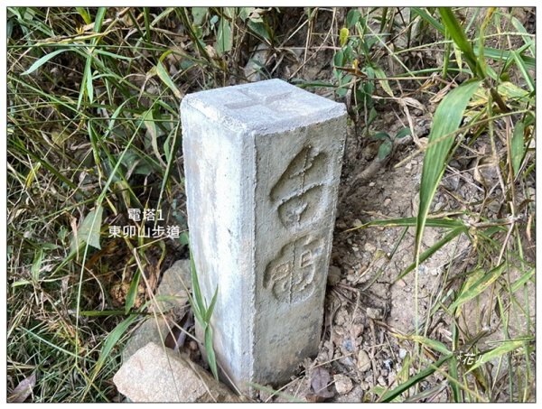 東卯山、東卯山西峰、東卯山西南峰 連走2932786