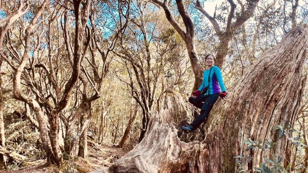 🌈12/18（三）魔法森林-塔曼山~網美打卡-巴陵鐵塔🌈2671878