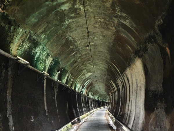 貓貍山公園，功維敘隧道1140923