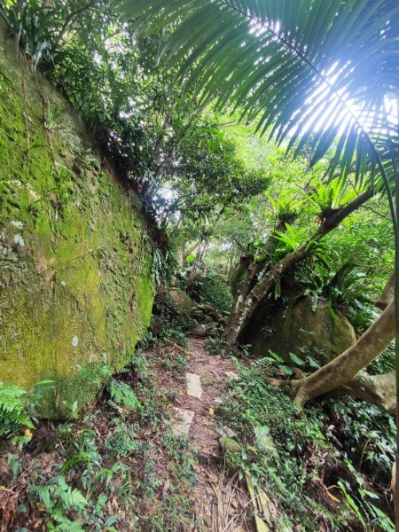 微笑山線之烘爐地土地公段2849196