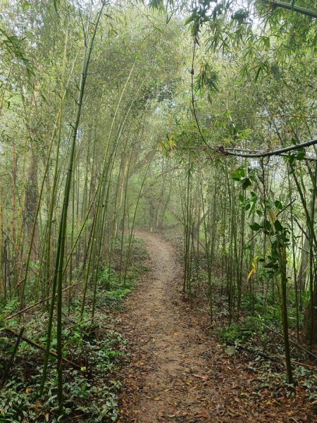 苗栗關刀山小百岳2649242