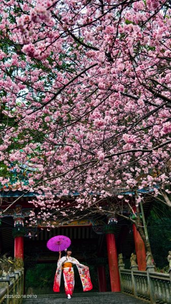 內湖碧山巖 2/182714792