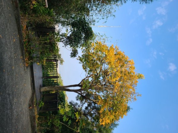 潭子新田山步道2698623