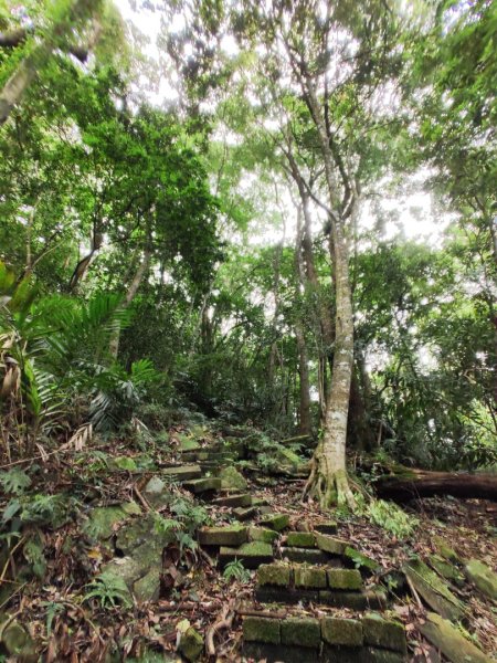 2025/6/14 橫龍山2839229