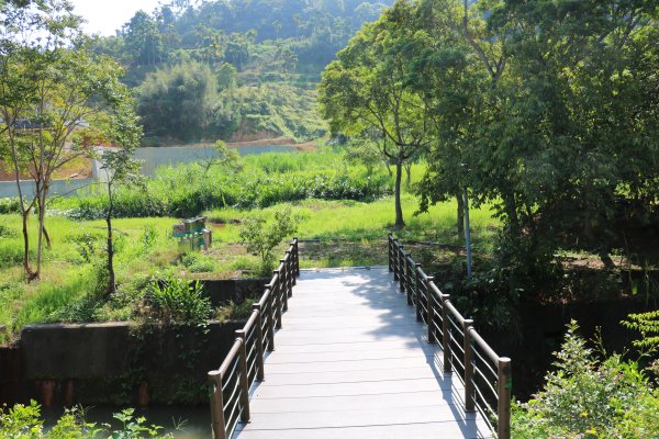 南投魚池~花茶香田園好風光~澀水田頂步道1026762