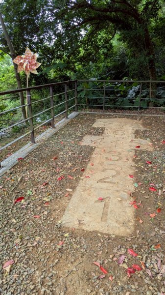 114.05.04三芝桐花步道-百年田梯步道-大鵬足湯公園2779901