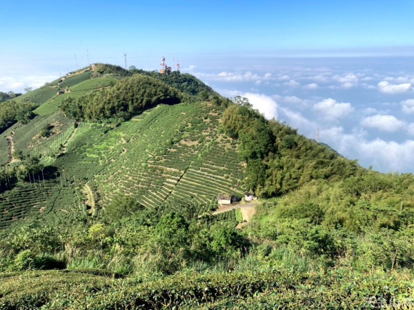 2024-10-19 雲嘉六連峰(空氣圖書館>太平山西峰>太平山>梨子腳山>馬鞍山>二尖山>大尖山>往後棟仔方向下>中途轉龍興宮>太平老街)