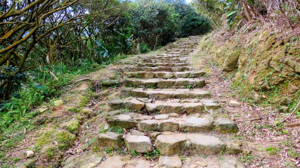 龍脊上的呼吸 (劍龍稜)2993645