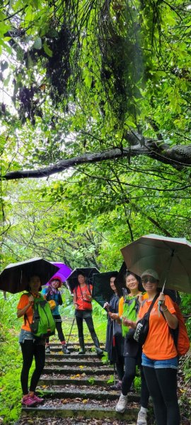 🌈貂山古道-黃金地質公園-黃金神社🌈2601273