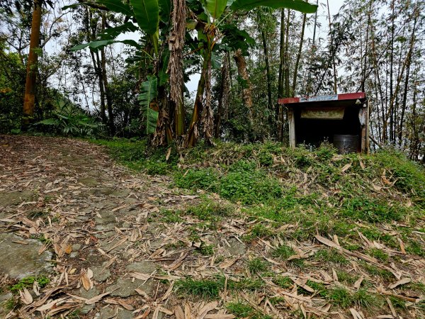 白雲山-小百岳#69-高雄市甲仙區2750252