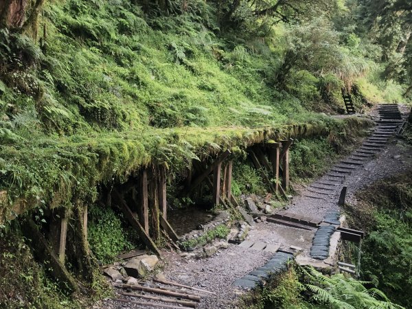 立秋的太平山健行→森鐵蹦蹦車→茂興懷舊步道→見晴古道1825603