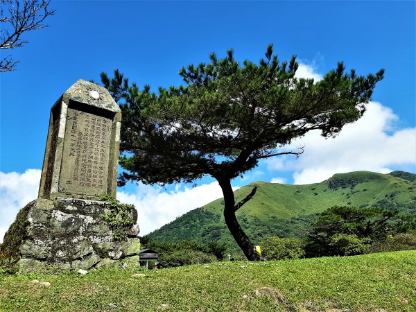 走遍陽明山：人車分道系統｜遇見霸王七葉一枝花2062897