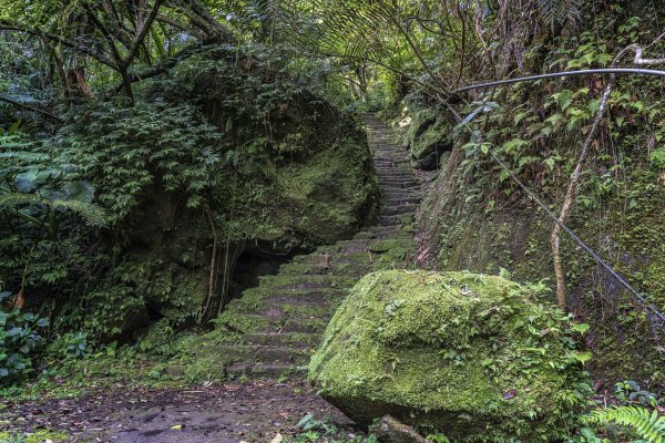 20210513平溪慈母峰與孝子山1386125