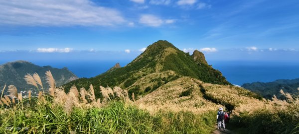 #半屏山 #芒花 11/262946037