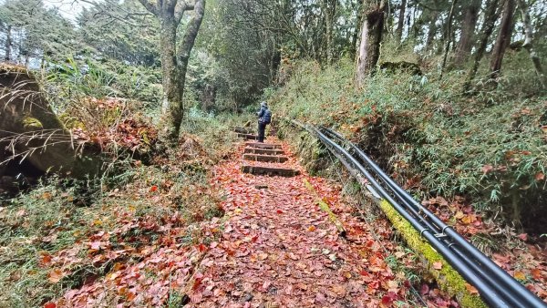 神阿縱走~台灣難抵極~大塔山2971490