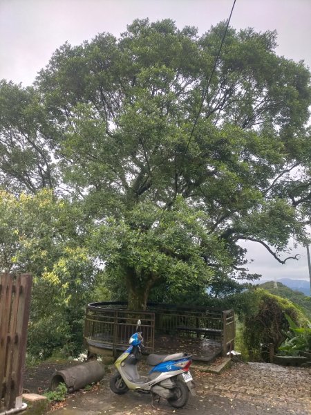 壹北大縱走第四段：風櫃嘴至大湖公園2809591