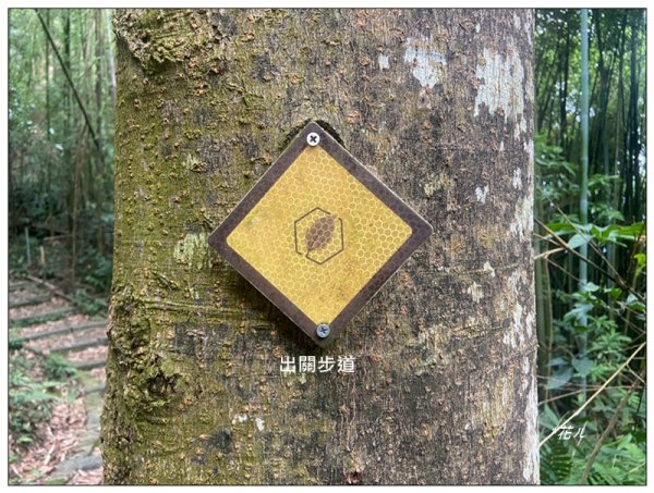 菜壽凸、薑麻園出關古道2797011