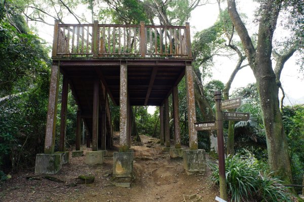 新竹 峨嵋 猿山、六寮山、玖玖山、獅頭山、獅尾山3012134