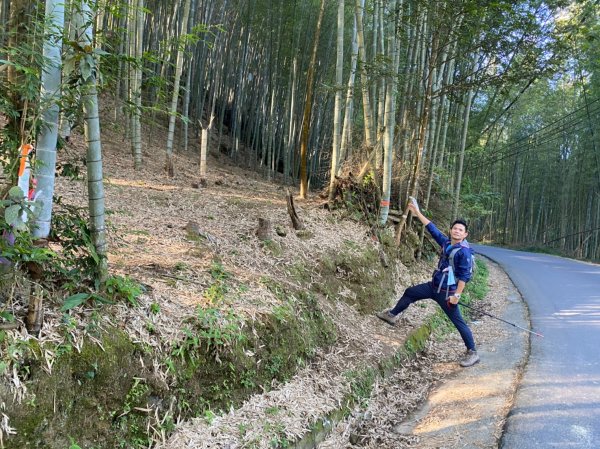 羊頭崙山.樟空崙山.貓空望山.鳳凰教育園區/鳥園【還是呼吸自由的空氣比較好】1629657