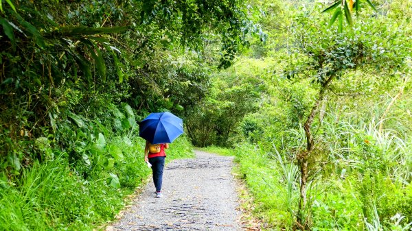 九寮溪自然步道2826882