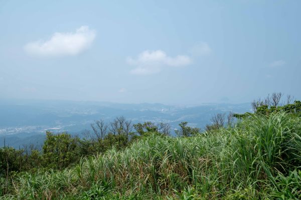 姜子寮山步道360452