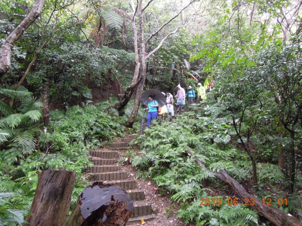 20190623_五酒桶山O繞841569