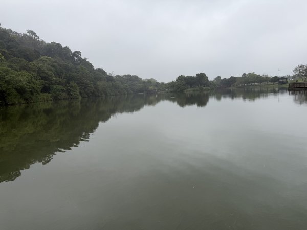 [樟之細路_第一大段RSA01] 2026_0329 三坑自然生態公園3026789