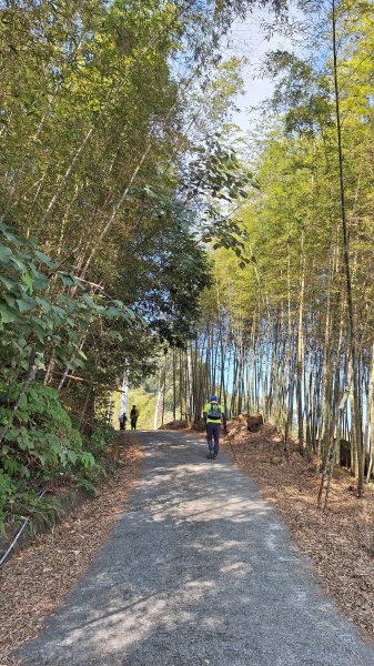 雲嘉大尖山(挑筍古道上)11502093045223