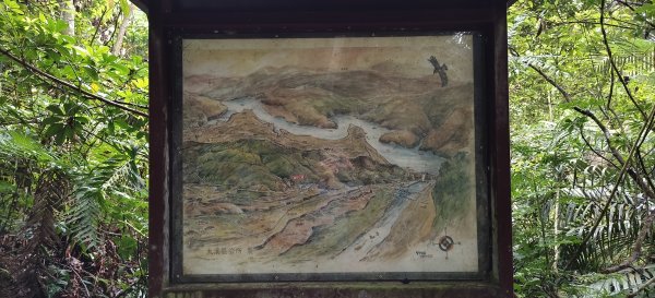 2025/07/19-大艽芎古道上溪洲山O型2841543