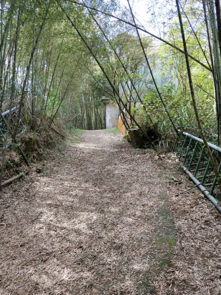 梨子腳山步道284667