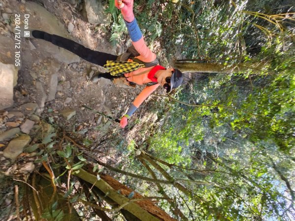 【谷關七雄】波津加(H1771.6m)肉腳配速成功2670427