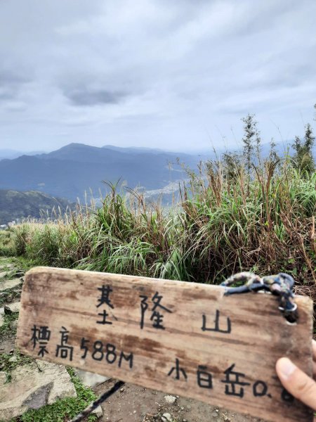 20230226 基隆山-雞籠山（小百岳）2044796