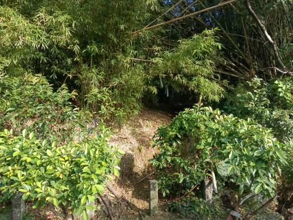 貢寮區新厝山+澳底尖(火炎山)+美艷山+金沙灣2989667