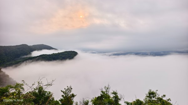 #陽明山 #琉璃光 #紅斑蛇 #新店四十份 #雲瀑 #翡翠水庫壩頂 #日出 #雲海 4/16&18