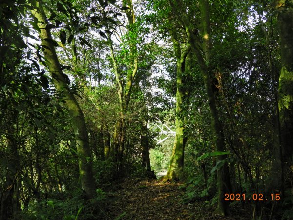 新北 雙溪 上內平林山、下內平林山1273167