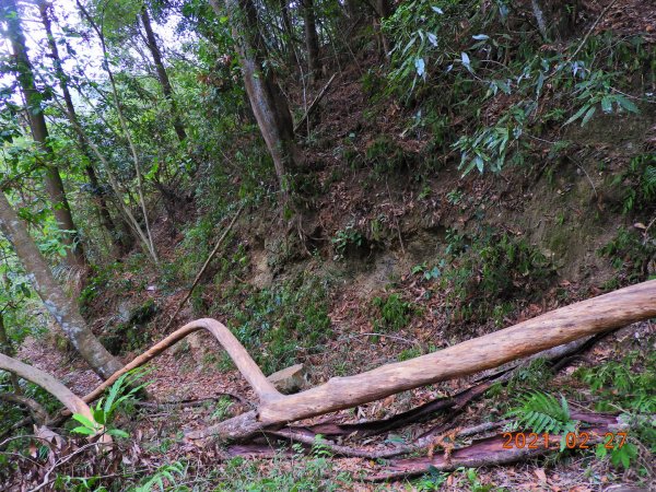 南投 埔里 舊武界越山、板仔寮山1286587