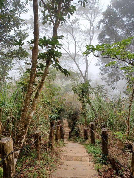 【台南白河】雞籠山+九龍山+大凍山O繞縱走2797162