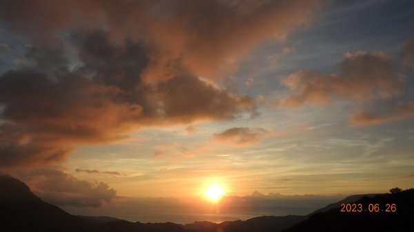 雲山水花鳥蝶 - 天龍國阿伯的日常 6/262195485