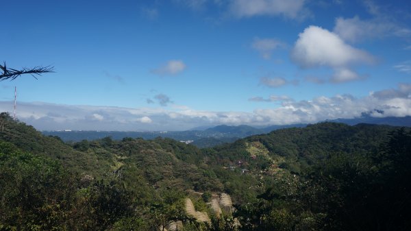 飛鳳山+石壁潭生態步道1189490