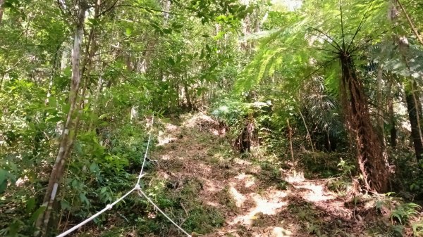坪林區金瓜寮土地公-火炎山東峰-火炎山-火炎山南峰-金瓜寮土地公O型3138286