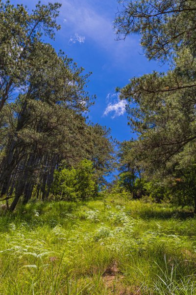 [百岳]大小劍未完2784260