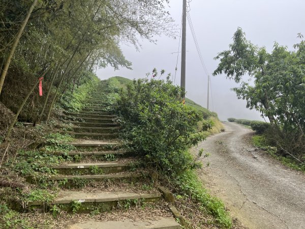 2023_0429_挑筍古道2138274