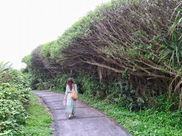 麟山鼻濱海步道 駱駝峰 富貴角公園1340678