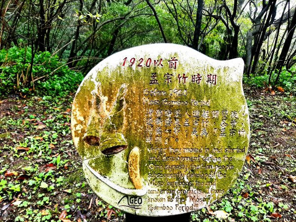 走遍陽明山：大屯山系｜青楓、中正山步道2085924